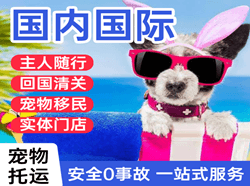 柳州航空快递国际宠物托运 【国